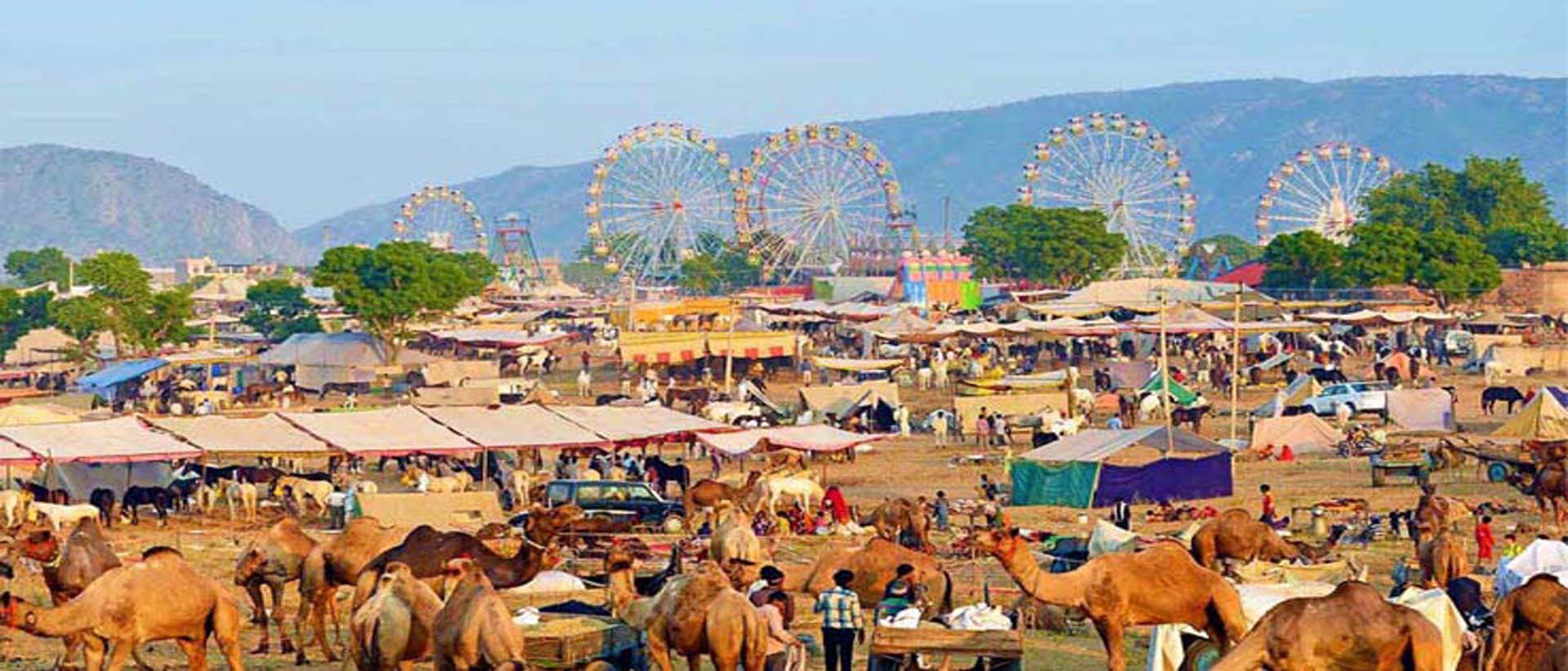 Pushkar Sarovar