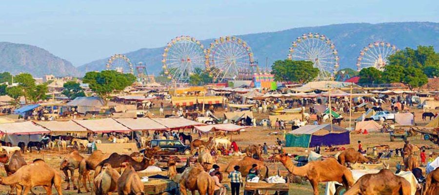 Pushkar Sarovar
