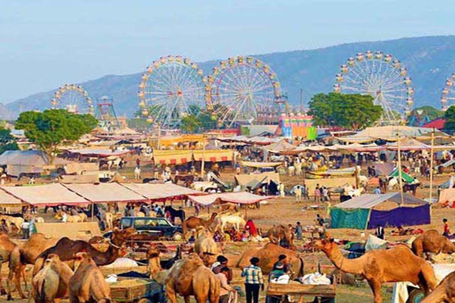 Pushkar Sarovar